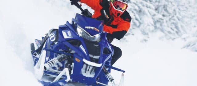 YAMAHA Sidewinder SRX LE